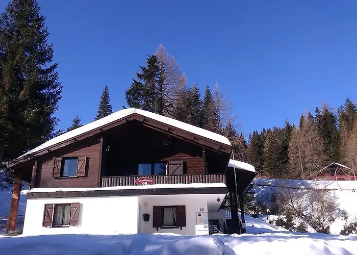 Fichtenblockhütte